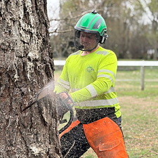 Large-Pine-and-Maple-Tree-Removal-Around-Power-Lines 5